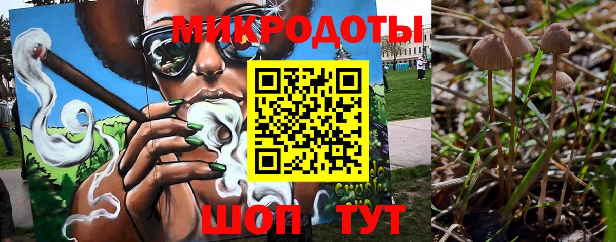 Псилоцибиновые грибы Cubensis  Вход с VPN  Норильск 