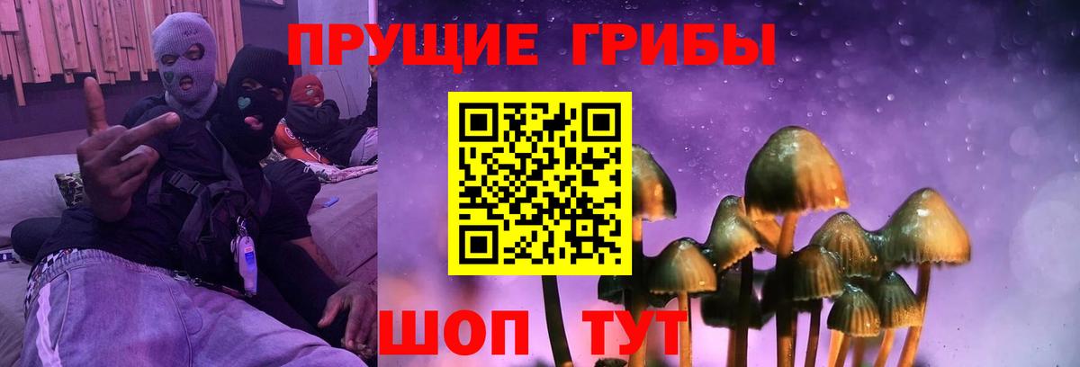 Галлюциногенные грибы Psilocybine cubensis Норильск